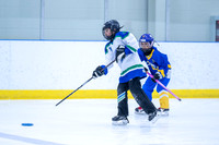 CSO-U10S3-1