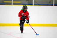 STR-U10S3-1